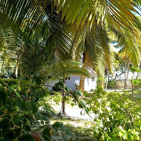 Chez Gigi - Eco Lodge Mahahual Exterior photo