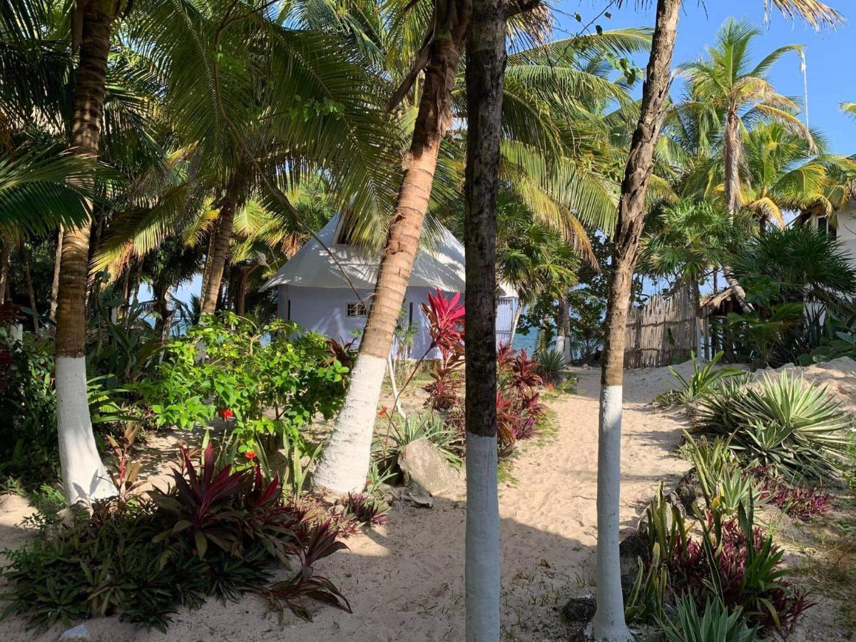 Chez Gigi - Eco Lodge Mahahual Exterior photo