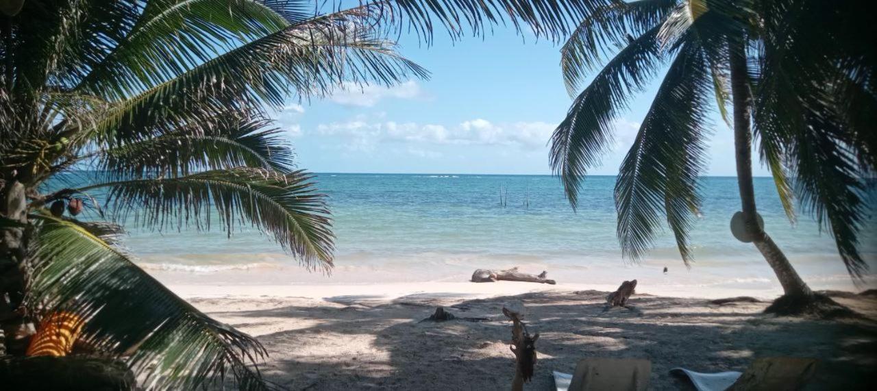 Chez Gigi - Eco Lodge Mahahual Exterior photo