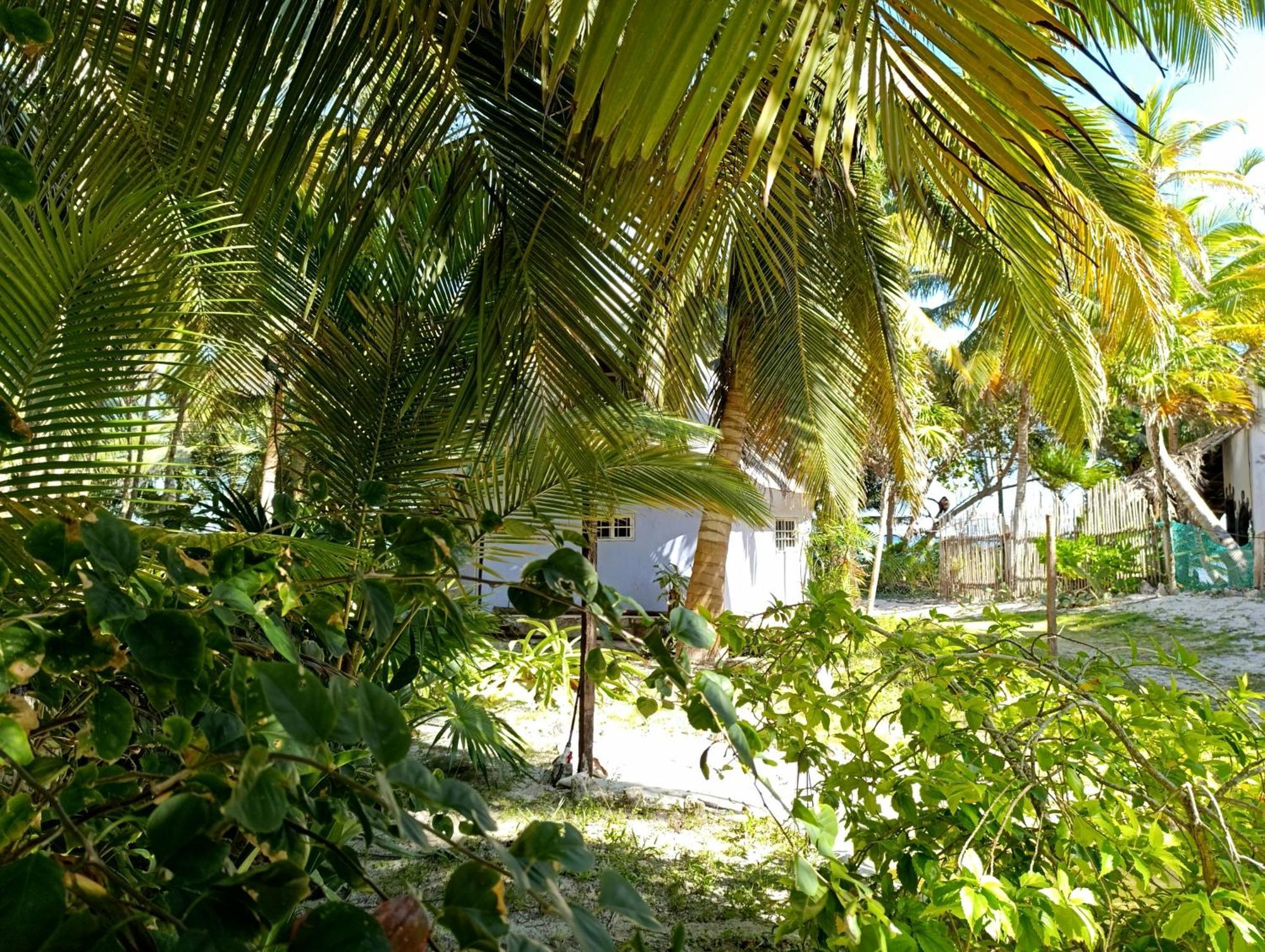 Chez Gigi - Eco Lodge Mahahual Exterior photo