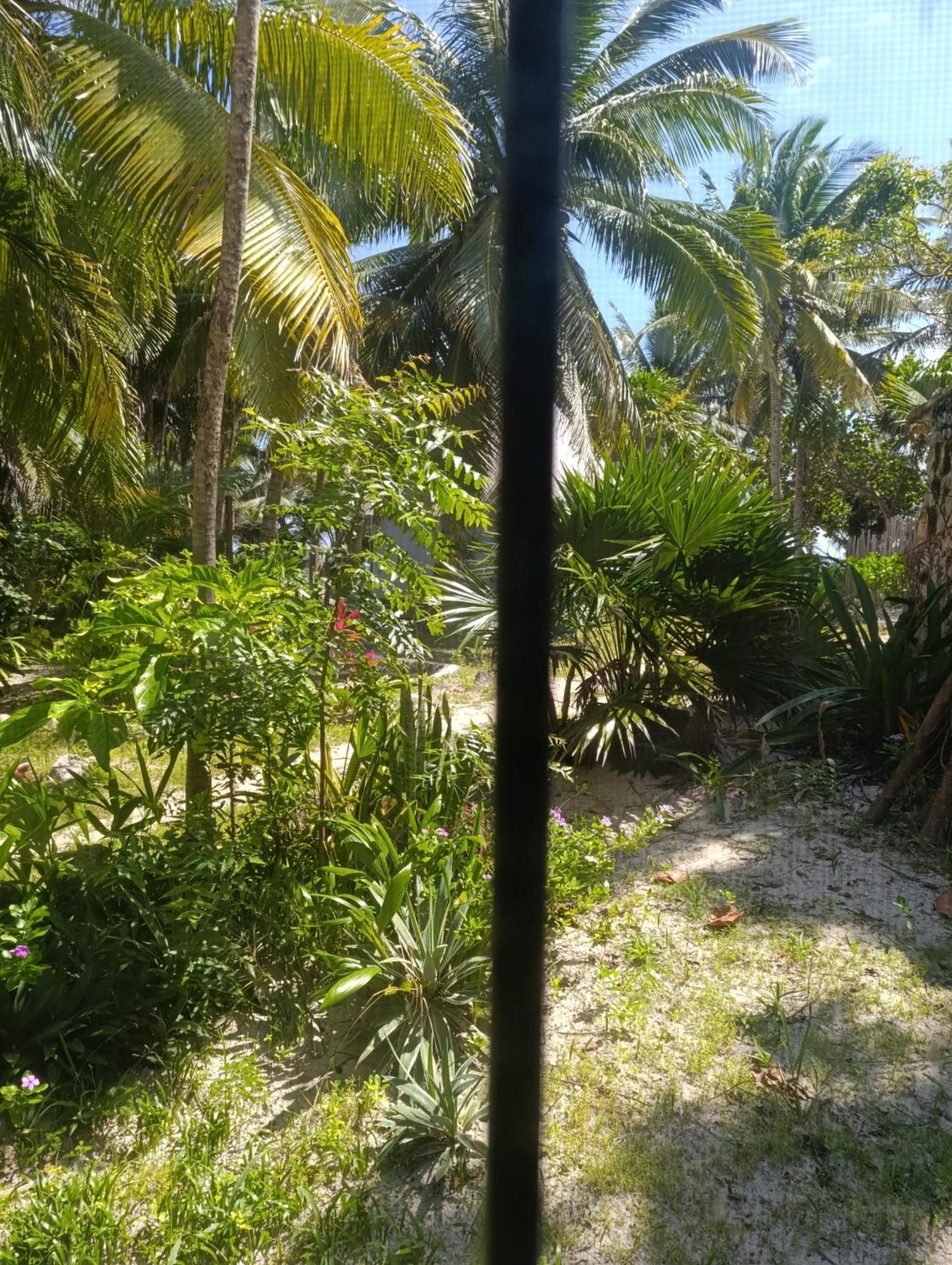 Chez Gigi - Eco Lodge Mahahual Exterior photo